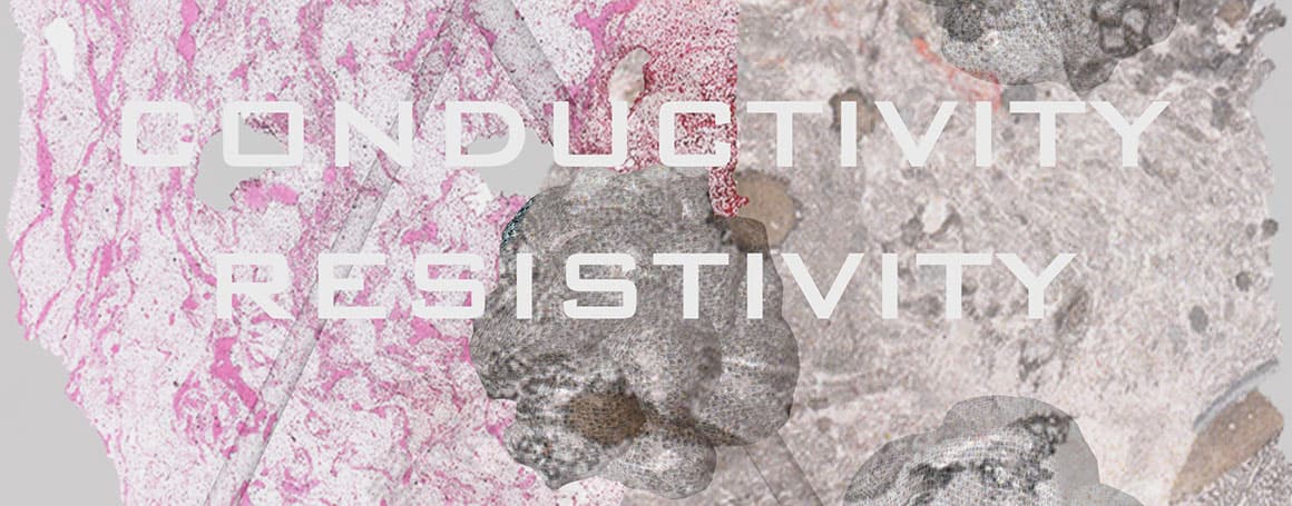 Project Banner